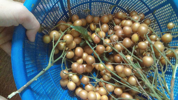 Dân tình nô nức ôn lại những món ăn vặt “thần thánh”, ai từng ăn chứng tỏ đã rất già - 8