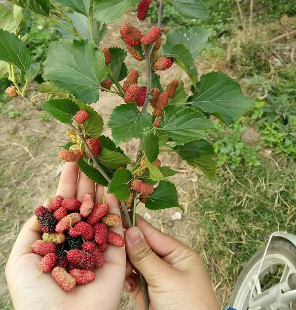Dân tình nô nức ôn lại những món ăn vặt “thần thánh”, ai từng ăn chứng tỏ đã rất già - 10
