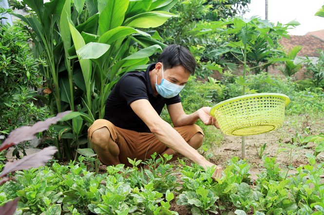 Cổ tích về tình người sau những ca ghép thận “0 đồng“ - 2