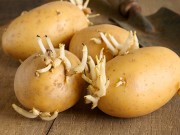 Sức khỏe - Những thực phẩm cần tránh xa, "chết" cũng không được ăn