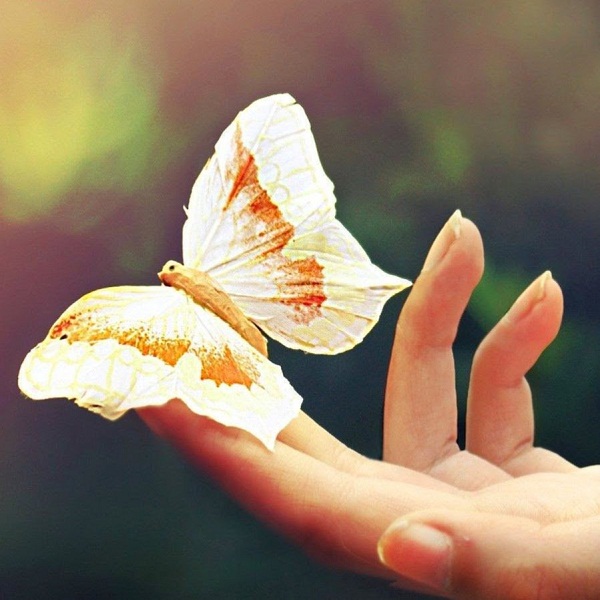 Thấy những điềm lành này, chắc chắn gia đình bạn sắp nhận tài lộc, đón chuyện vui - 3