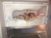 Nhà đẹp - Dân mạng lại thi nhau khoe ảnh tủ lạnh đóng tuyết "bá đạo", đá dày như núi