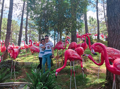 Tố Ny lần đầu công khai người yêu điển trai làm phi công - 2