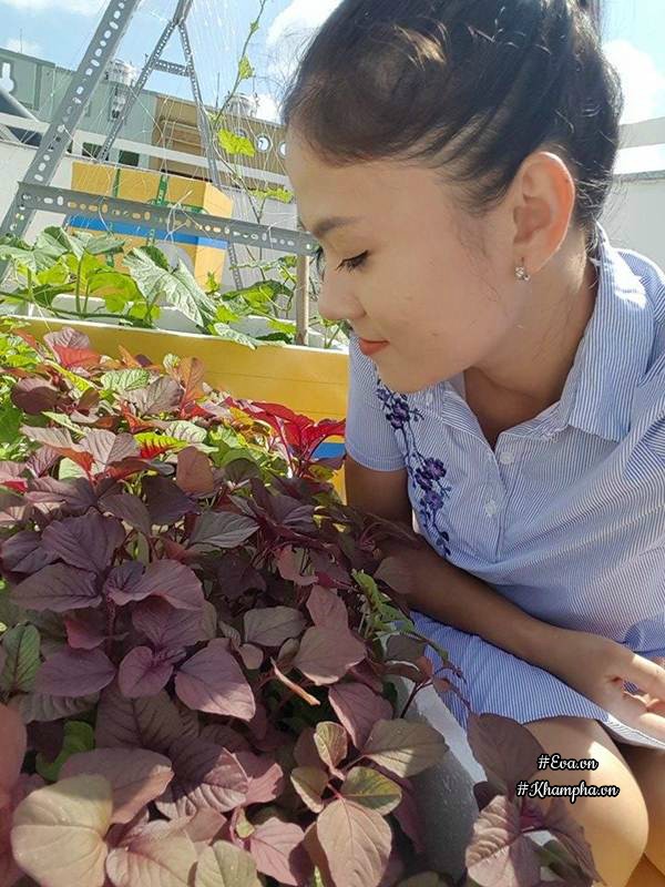 Vườn rau quả xanh mướt trên sân thượng của mẹ Việt từng trồng cây nào ...