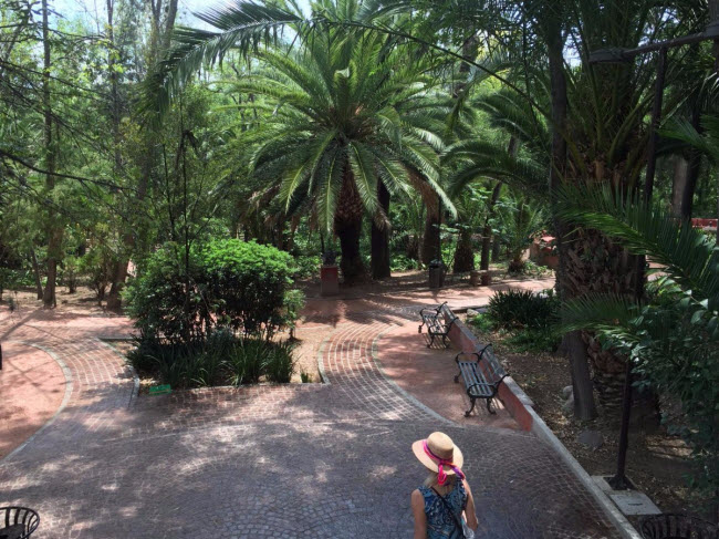 Không gian xanh trong công viên Parque Benito Juarez là địa điểm lý tưởng để đi bộ thư giãn.
