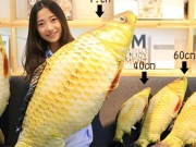 Nhà đẹp - Hết gối hình gián, dân mạng lại đua nhau săn gối hình cá, bánh mỳ như thật