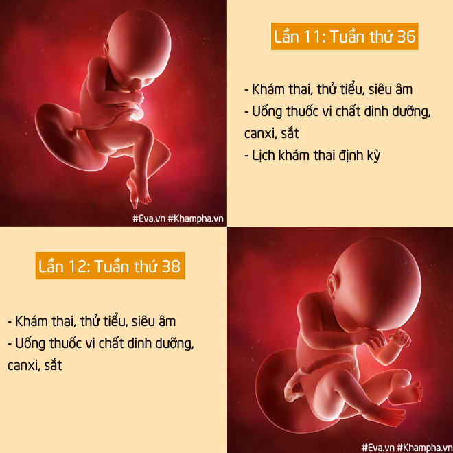 Nam bác sĩ sản khoa khoe clip thai nhi 26 tuần nhảy múa tung tăng đốn tim các mẹ bầu - 7