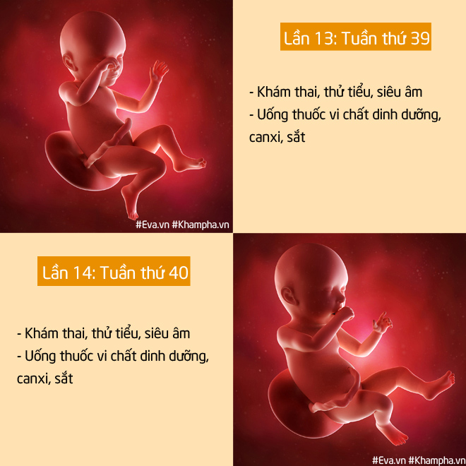 Nam bác sĩ sản khoa khoe clip thai nhi 26 tuần nhảy múa tung tăng đốn tim các mẹ bầu - 8