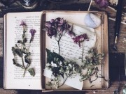 Eva tám - Đứng giữa bi kịch cuộc đời, tôi vẫn thấy mình hạnh phúc hơn bao phận đời ngoài kia