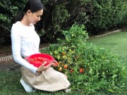 Nhà đẹp - Thích mê vườn rau trái "ăn mãi không hết" của hoa hậu Dương Mỹ Linh trên đất Mỹ