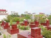 Tin tức - Câu chuyện cảm động về 3 người phụ nữ 9 năm cùng nhau trông nom nghĩa trang liệt sĩ