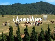 Du lịch - Cảnh đẹp "say lòng người" của các cao nguyên nổi tiếng Việt Nam