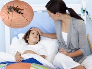 Làm mẹ - Trẻ bị sốt xuất huyết: Biểu hiện và cách phòng tránh bệnh bố mẹ cần biết