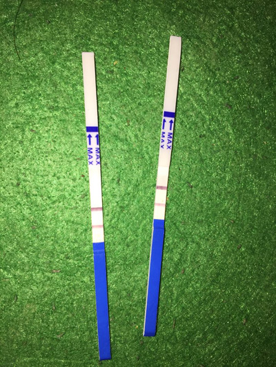 Hành trình 6 năm tìm con của cặp vợ chồng hiếm muộn - 3