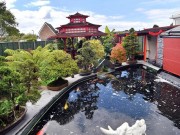 Nhà đẹp - Ngỡ ngàng khu vườn Á Đông đẹp như tiên cảnh của ông lão gần 80 quyết chi hàng tỷ đồng làm vườn