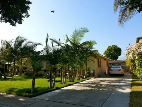 Quang Lê và khối gia sản amp;#34;khủngamp;#34; từ cát xê 4.000 USD một show diễn - 3