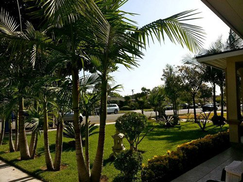 Quang Lê và khối gia sản amp;#34;khủngamp;#34; từ cát xê 4.000 USD một show diễn - 4