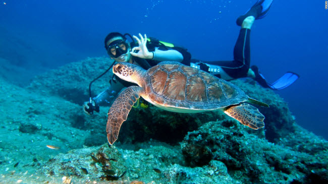 Bãi biển Alagadi, Đảo Síp: Tới đây, du khách có thể bơi lặn cùng rùa biển tại khu bảo tồn loài động vật này.
