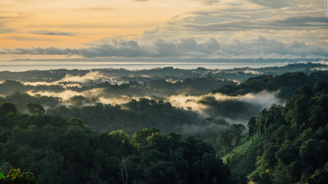 Costa Rica: Bán đảo Osa được đánh là địa điểm thân thiện với thiên nhiên nhất thế giới. Khoảng 2,5% đa dạng sinh học của thế giới nằm tại khu vực này.
