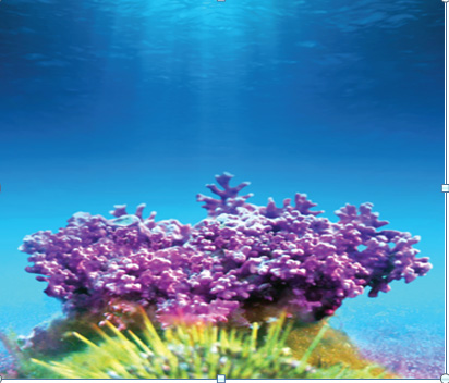 Mặc ba mẹ lùn “một mẩu”, con vẫn cao hết cỡ nhờ cách này - 3