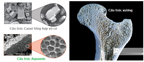 Mặc ba mẹ lùn “một mẩu”, con vẫn cao hết cỡ nhờ cách này - 4