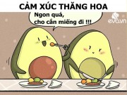 Eva Yêu - [Video] Triết lý "Tình yêu là gì?" từ cặp đôi quả bơ khiến người xem bất giác mỉm cười