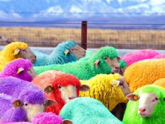 Xem bói ngày sinh để tìm ra ngay màu sắc may mắn, giúp bạn làm gì cũng thành công