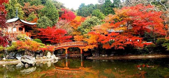 Kyoto - Nhật Bản

Với sự kết hợp hoàn hảo giữa cổ điển và hiện đại, những con phố mua sắm nhộn nhịp và hình ảnh các geisha yêu kiều, Kyoto đã được bình chọn là một trong những thành phố du lịch tuyệt nhất thế giới.            

Khung cảnh mùa thu ở cố đô Kyoto, Nhật Bản

       
