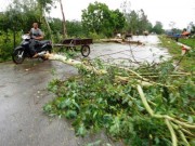 Tin tức - Tháng 8, Việt Nam phải hứng chịu bao nhiêu cơn bão?