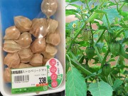 Nhà đẹp - Ngỡ ngàng quả dại mọc đầy ở Việt Nam, sang nước ngoài bán giá 700.000/kg