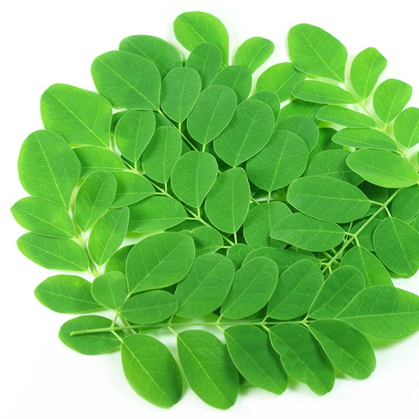 Cách làm bột chùm ngây nấu cháo thơm ngọt, giàu dinh dưỡng cho con ăn dặm của mẹ Hà Nội - 3