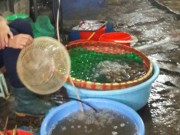 Mua sắm - Giá cả - Khách e dè với tôm sau các vụ phát hiện bơm tạp chất