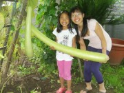 Nhà đẹp - Mua "rau Tây" quá đắt đỏ, mẹ Việt ở Đức tự tay trồng vườn rau trái xum xuê