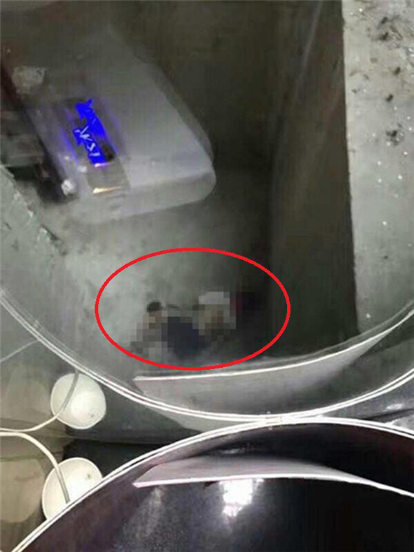 Bố mẹ lơ là, con nhỏ một mình vào thang máy tiểu tiện lên bảng điều khiển và gặp tai nạn thương tâm - 2