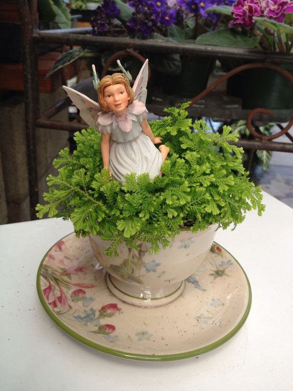 amp;#34;Đã mắtamp;#34; những khu vườn mini trong tách trà, trang trí nhà xanh mát mà không tốn diện tích - 2