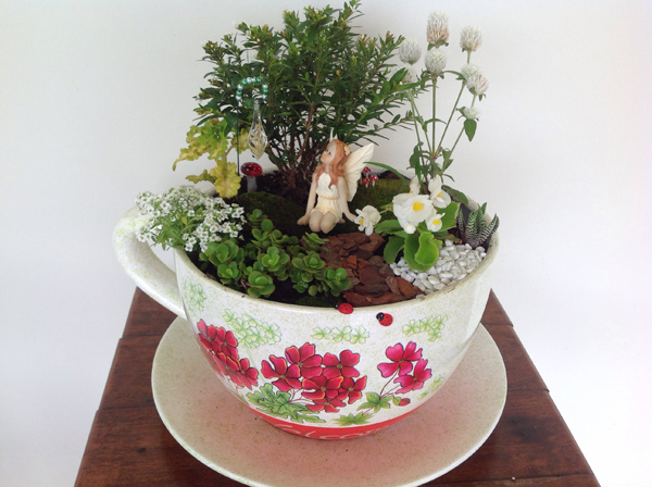 amp;#34;Đã mắtamp;#34; những khu vườn mini trong tách trà, trang trí nhà xanh mát mà không tốn diện tích - 5