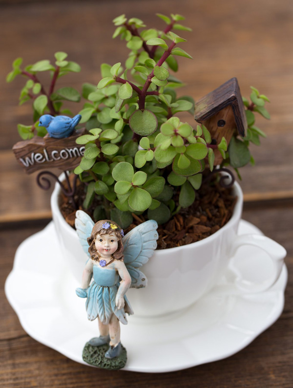 amp;#34;Đã mắtamp;#34; những khu vườn mini trong tách trà, trang trí nhà xanh mát mà không tốn diện tích - 3