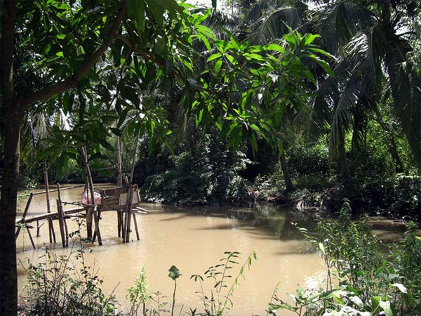 Hình ảnh nhà vệ sinh đồng quê amp;#34;lộ thiênamp;#34; của Việt Nam lên báo nước ngoài - 7