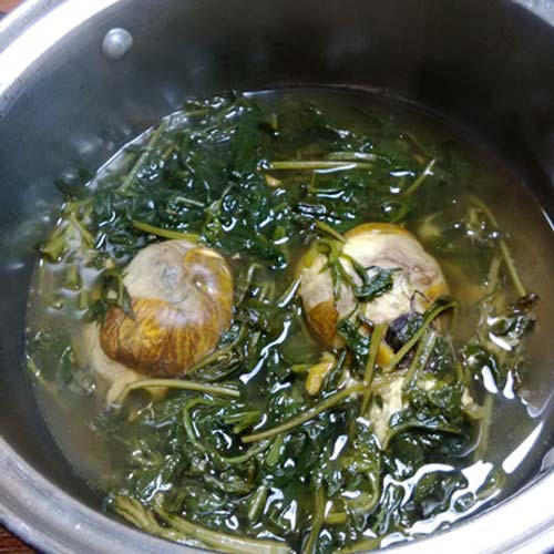 Làm cách nào để tăng cân nhanh chóng mà không bị phù người hay rạn da - 9