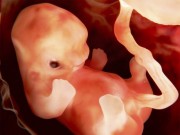 Bà bầu - Mang bầu mà bố mẹ thường xuyên làm những việc này sẽ rất dễ gây tổn hại thai nhi