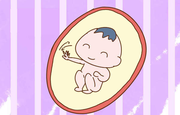 Ngoài việc ăn và ngủ, thai nhi còn làm những gì trong bụng mẹ? - 1