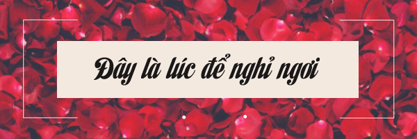 Đêm tân hôn và những chuyện “cười ra nước mắt”, chẳng như mong đợi của hội chị em - 5