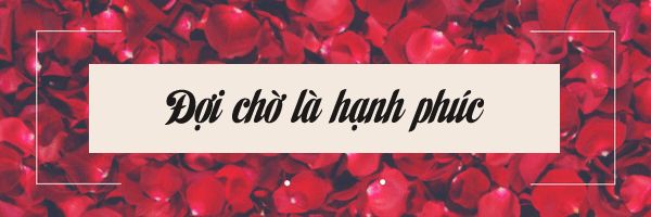 Đêm tân hôn và những chuyện “cười ra nước mắt”, chẳng như mong đợi của hội chị em - 6