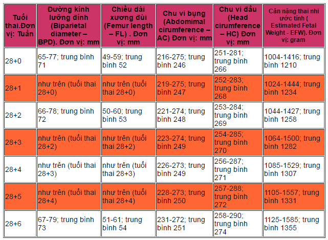 Chỉ số siêu âm thai – những điều bác sĩ không nói với mẹ - 2
