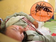 Tin tức - Bà bầu mắc sốt xuất huyết: “Người tôi như muốn nổ tung ra vì đau đớn”