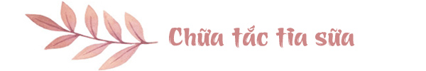 Mẹo amp;#34;chảiamp;#34; ngực bằng lá mít, dùng tay vắt giúp kích sữa về nhanh sau sinh của mẹ Hải Phòng - 9