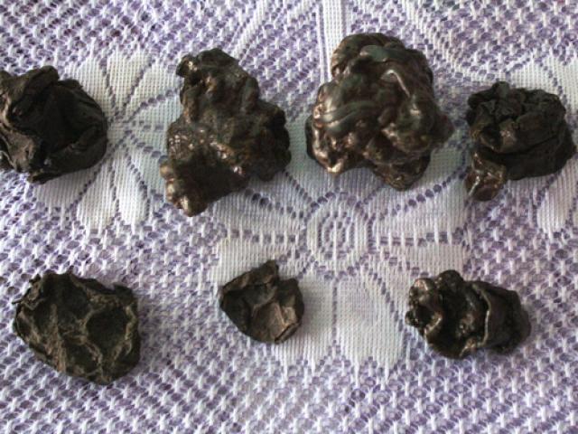 Mổ dê, phát hiện 7 vật thể lạ nghi là dương bảo quý hiếm