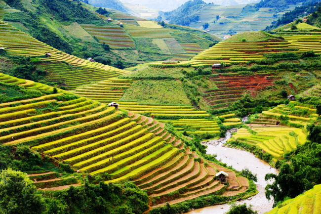 Ruộng bậc thang Mù Cang Chải, Việt Nam: Những cánh đồng lúa bậc thang ở miền bắc Việt Nam tạo nên phong cảnh đẹp như tranh vẽ.

