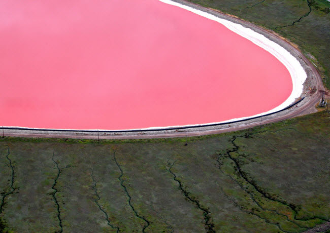 Hồ Hillier, Australia: Được ngăn cách với biển chỉ bằng một dải đất hẹp, hồ Hillier có màu hồng nổi bật do tảo Dunaliella salina tạo ra.

