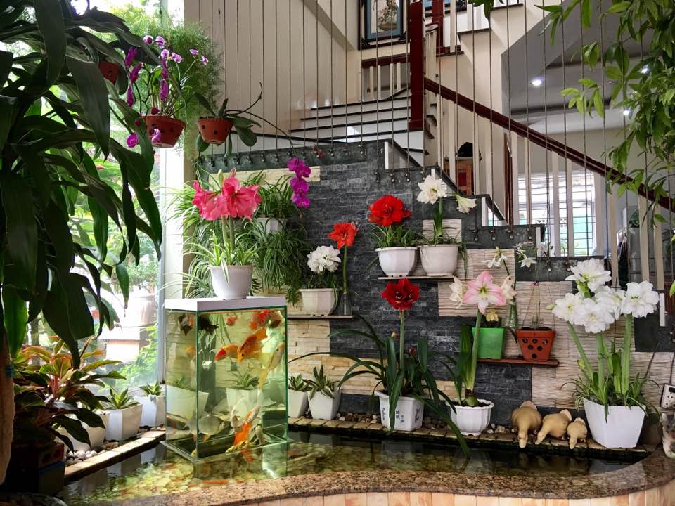 Mê mẩn không gian ngập tràn sắc hoa trong căn nhà của Bích Phương ở Quảng Ninh - 13